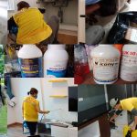 Dịch Vụ Diệt Côn Trùng, Muỗi-kiến-mối-chuột